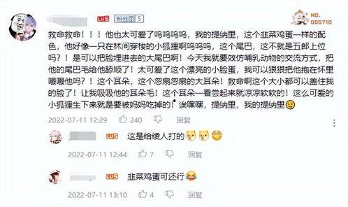 原神最新爆料榜是谁,神秘角色横空出世，谁是下一个游戏焦点？